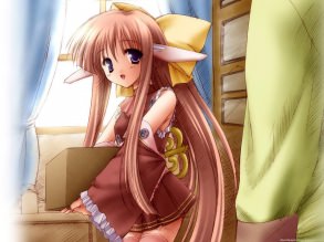 ���� ����� ��������